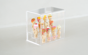 Acrylic Display Case E6