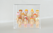 Acrylic Display Case E6