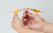 Papillon Origami Airplanes S8