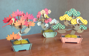 Play Plants Bonsai Puzzles O7