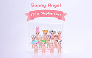 Acrylic Display Case E6