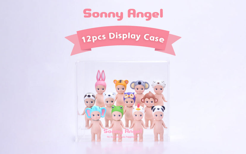 Acrylic Display Case E6