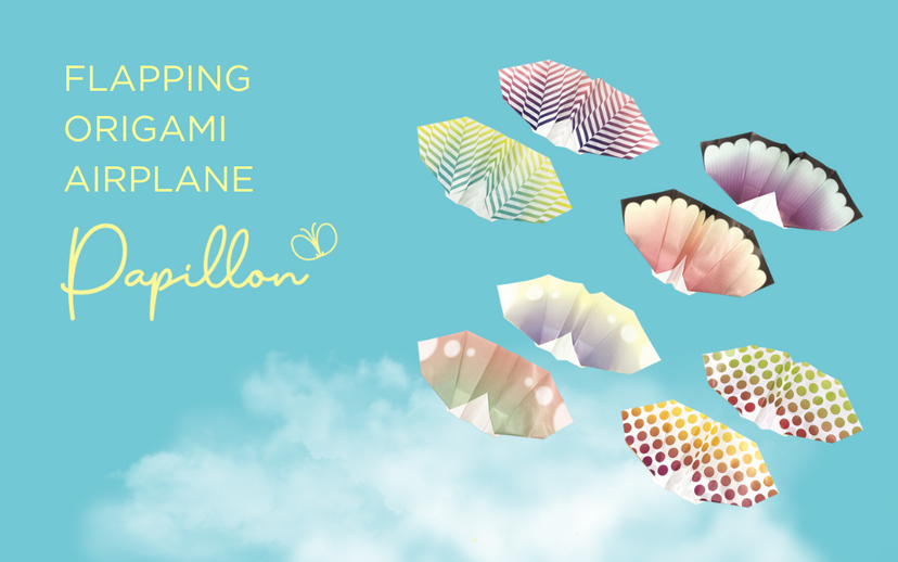 Papillon Origami Airplanes S8