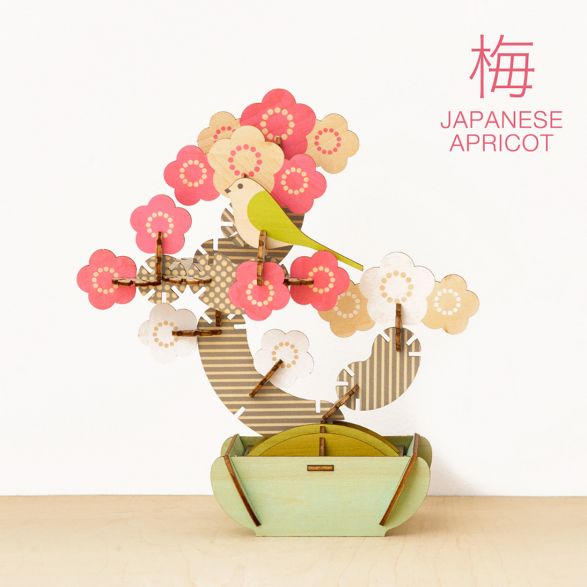 Play Plants Bonsai Puzzles O7