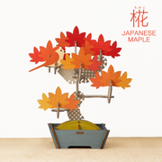 Play Plants Bonsai Puzzles O7