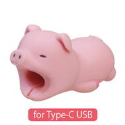 CABLE BITE for Type-C USB I6